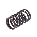 Briggs & Stratton Valve Spring 692180